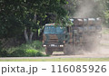 88式地対艦誘導弾 SSM-1 (Type 88 surface to ship missile)  116085926