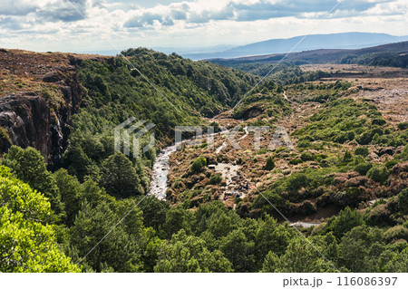 Scenery of tropical rainforest with river flowing in sunny day at national park 116086397