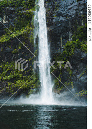 Moody waterfall flowing in tropical rainforest at Milford Sound 116086429