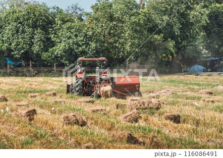 Tractor working on rice filed during harvest season in farmland 116086491