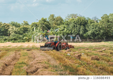 Tractor working on rice filed during harvest season in farmland 116086493