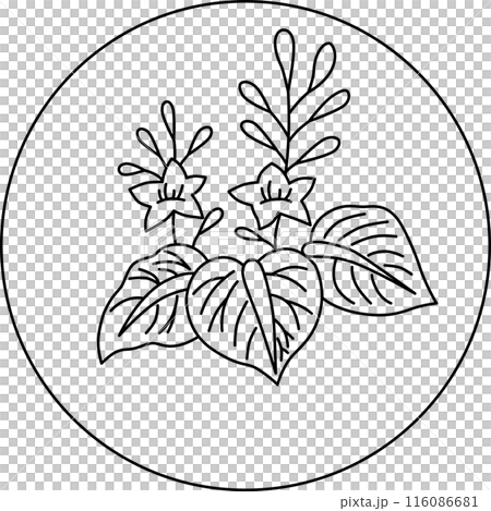 Line drawing circular Hanafuda card, December, Paulownia, December, Paulownia sap Line drawing circular Hanafuda card, December, Paulownia, December, Paulownia sap 116086681