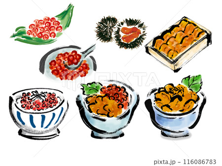鮭とイクラの手書き和風筆イラスト素材 116086783