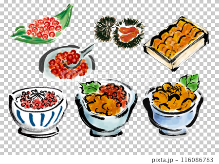 鮭とイクラの手書き和風筆イラスト素材 116086783