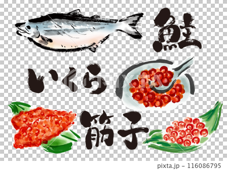 鮭とイクラとすじこの手書き和風筆イラスト素材 116086795