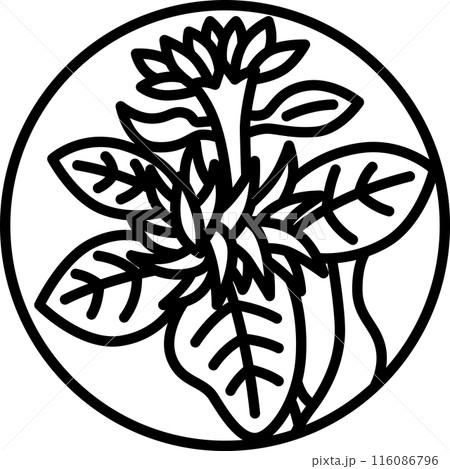 線画円形ミニ花札　長月　菊　9月　菊のカス 116086796