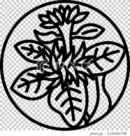 Line drawing circular mini Hanafuda cards - Nagatsuki, Chrysanthemum, September, Chrysanthemum casing 116086796