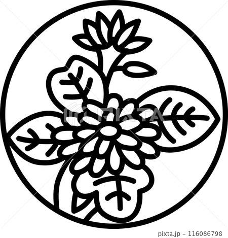 線画円形ミニ花札　長月　菊　9月　菊のカス 116086798