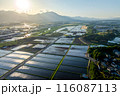水田が創る風景を空撮しました 水田が創る風景を空撮しました 116087113