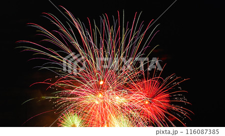 夜空を彩る きれいな打ち上げ花火 夜空を彩る きれいな打ち上げ花火 116087385