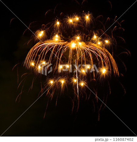 夜空を彩る きれいな打ち上げ花火 夜空を彩る きれいな打ち上げ花火 116087402