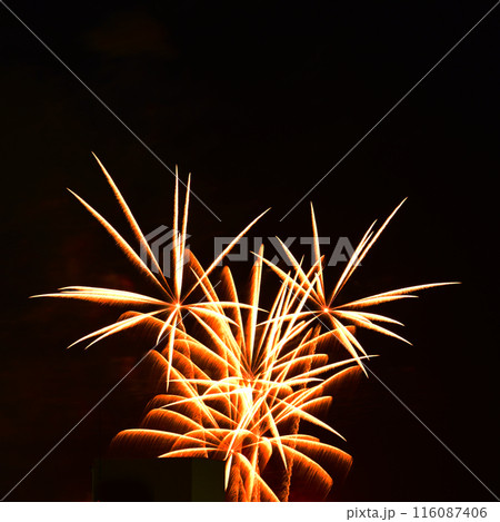 夜空を彩る きれいな打ち上げ花火 夜空を彩る きれいな打ち上げ花火 116087406