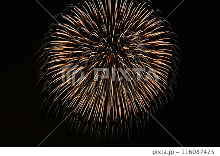夜空を彩る　きれいな打ち上げ花火 116087425