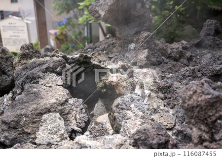 温泉の蒸気が噴き出す岩場 温泉の蒸気が噴き出す岩場 116087455