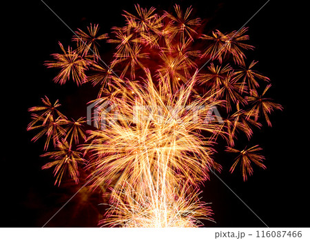 夜空を彩る きれいな打ち上げ花火 夜空を彩る きれいな打ち上げ花火 116087466