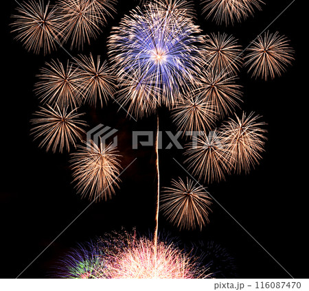 夜空を彩る　きれいな打ち上げ花火 116087470