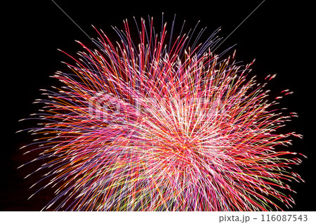 夜空を彩る　きれいな打ち上げ花火 116087543