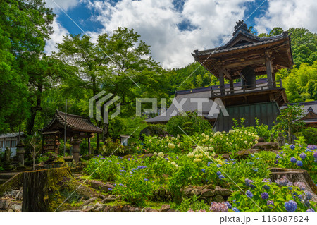 あじさいのお寺 山梨県韮崎市 大公寺 あじさいのお寺 山梨県韮崎市 大公寺 116087824