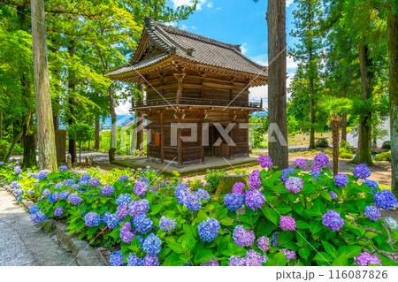 あじさいのお寺　山梨県韮崎市　大公寺 116087826