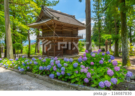 あじさいのお寺 山梨県韮崎市 大公寺 あじさいのお寺 山梨県韮崎市 大公寺 116087830