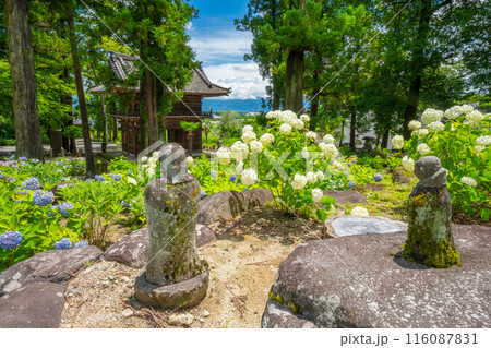 あじさいのお寺 山梨県韮崎市 大公寺 あじさいのお寺 山梨県韮崎市 大公寺 116087831