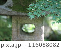 瑠璃光院 116088082