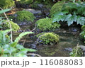 瑠璃光院 116088083
