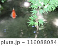 瑠璃光院 116088084