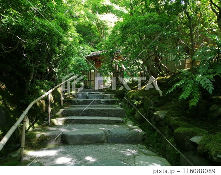 瑠璃光院 116088089