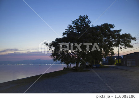 夜明けの琵琶湖畔とあのベンチ　横構図1 116088180