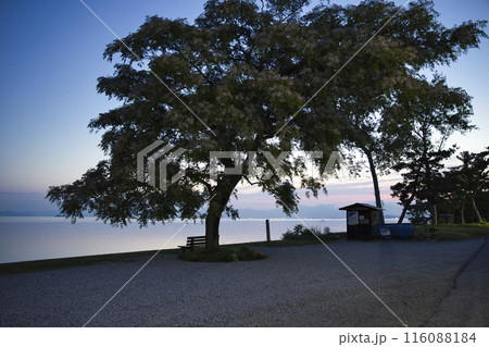 夜明けの琵琶湖畔とあのベンチ　横構図5 116088184