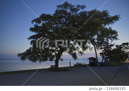 夜明けの琵琶湖畔とあのベンチ 横構図6 夜明けの琵琶湖畔とあのベンチ 横構図6 116088185