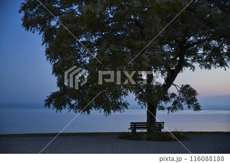 夜明けの琵琶湖畔とあのベンチ　横構図9 116088188