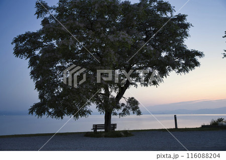 夜明けの琵琶湖畔とあのベンチ　横構図17 116088204