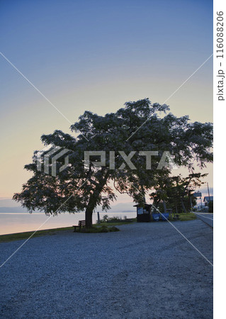 夜明けの琵琶湖畔とあのベンチ 縦構図2 夜明けの琵琶湖畔とあのベンチ 縦構図2 116088206