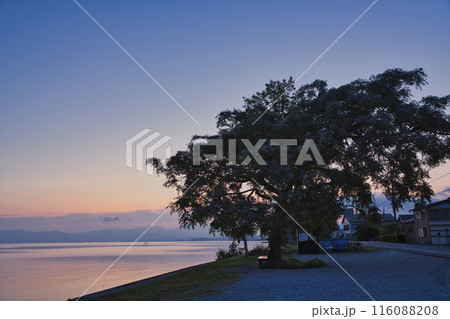 夜明けの琵琶湖畔とあのベンチ 横構図18 夜明けの琵琶湖畔とあのベンチ 横構図18 116088208