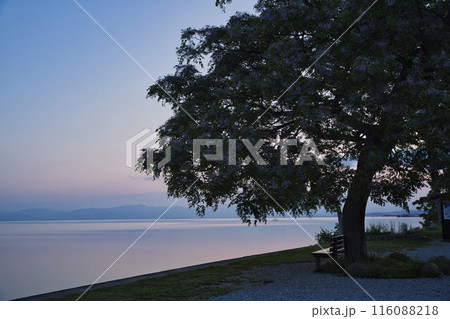 夜明けの琵琶湖畔とあのベンチ 横構図28 夜明けの琵琶湖畔とあのベンチ 横構図28 116088218