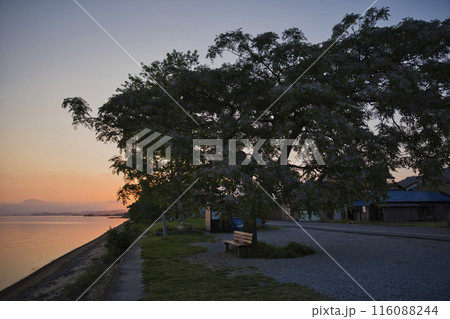 夜明けの琵琶湖畔とあのベンチ　横構図41 116088244