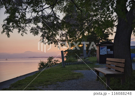 夜明けの琵琶湖畔とあのベンチ 横構図44 夜明けの琵琶湖畔とあのベンチ 横構図44 116088248