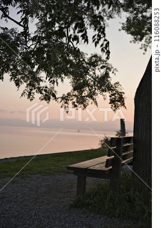 夜明けの琵琶湖畔とあのベンチ 縦構図4 夜明けの琵琶湖畔とあのベンチ 縦構図4 116088253
