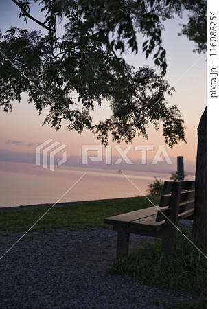 夜明けの琵琶湖畔とあのベンチ 縦構図5 夜明けの琵琶湖畔とあのベンチ 縦構図5 116088254