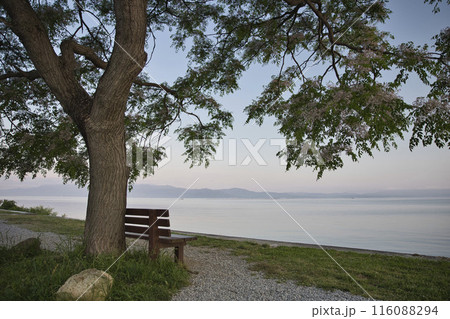 夜明けの琵琶湖畔とあのベンチ 横構図57 夜明けの琵琶湖畔とあのベンチ 横構図57 116088294
