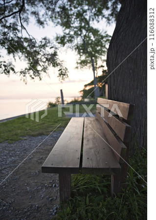 あのベンチとセンダン　縦構図5 116088312