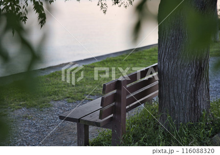 あのベンチと朝焼けの琵琶湖畔　横構図5 116088320