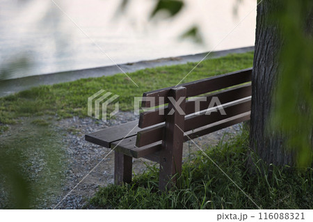 あのベンチと朝焼けの琵琶湖畔　横構図6 116088321