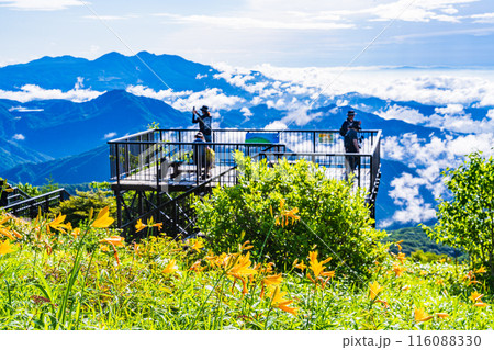 【栃木県】ニッコウキスゲ咲く、日光・霧降高原小丸山展望テラスから雲海を眺める観光客 【栃木県】ニッコウキスゲ咲く、日光・霧降高原小丸山展望テラスから雲海を眺める観光客 116088330