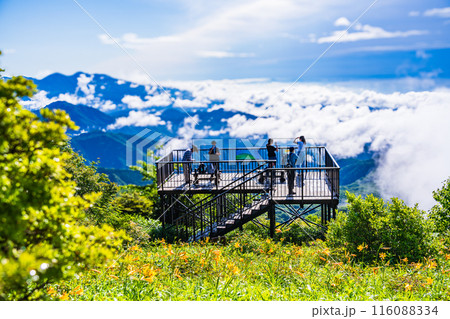 【栃木県】ニッコウキスゲ咲く、日光・霧降高原小丸山展望テラスから雲海を眺める観光客 116088334
