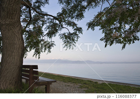 あのベンチと朝焼けの琵琶湖畔　横構図25 116088377