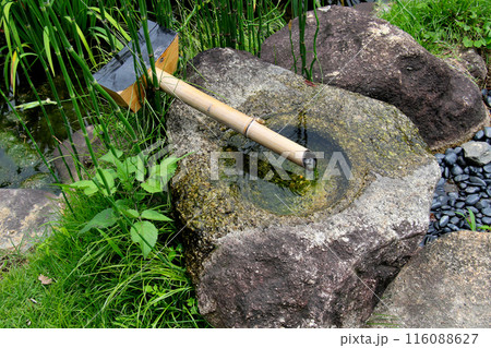 城北公園　菖蒲園　菖蒲　と　蹲(つくばい) 116088627