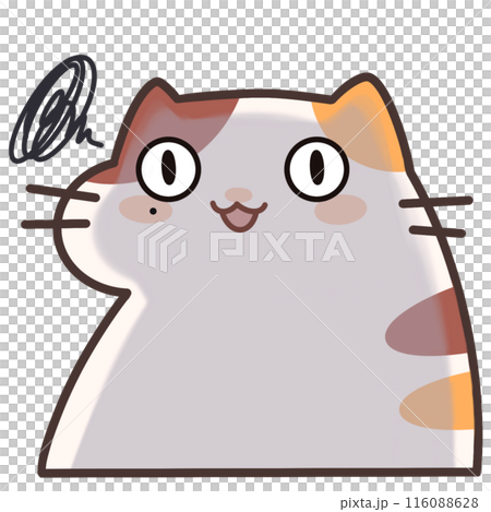 fat cat with mischievous smiles fat cat with mischievous smiles 116088628